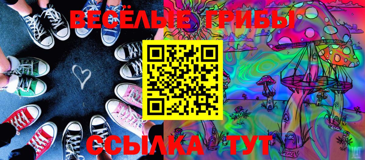 Орёл  Псилоцибиновые грибы Psilocybine cubensis  Вход с VPN  Галлюциногенные грибы MAGIC MUSHROOMS 